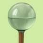 Self-Watering Glass Plant Globes – We The Wild – 2 Pack